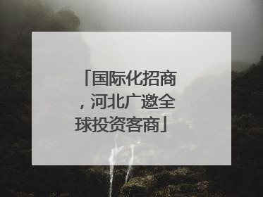 国际化招商，河北广邀全球投资客商
