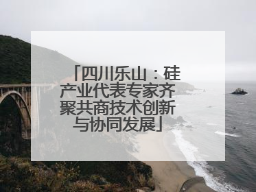 四川乐山：硅产业代表专家齐聚共商技术创新与协同发展