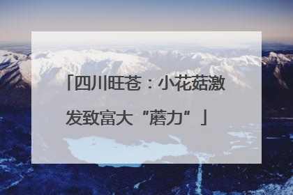 四川旺苍：小花菇激发致富大“蘑力”