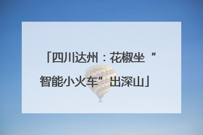 四川达州：花椒坐“智能小火车”出深山