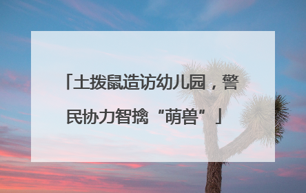 土拨鼠造访幼儿园，警民协力智擒“萌兽”