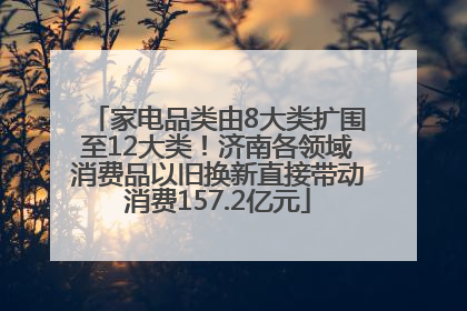家电品类由8大类扩围至12大类！济南各领域消费品以旧换新直接带动消费157.2亿元