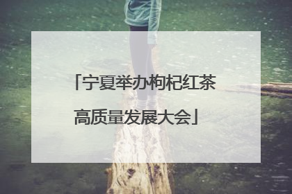 宁夏举办枸杞红茶高质量发展大会