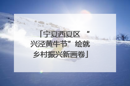 宁夏西夏区 “兴泾黄牛节”绘就乡村振兴新画卷