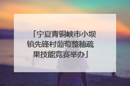 宁夏青铜峡市小坝镇先锋村葡萄整穗疏果技能竞赛举办