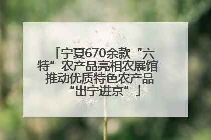 宁夏670余款“六特”农产品亮相农展馆 推动优质特色农产品“出宁进京”