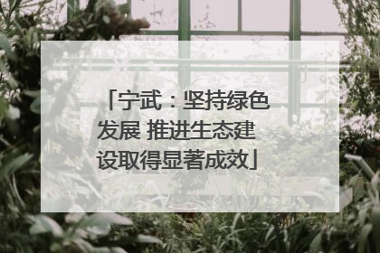 宁武：坚持绿色发展 推进生态建设取得显著成效