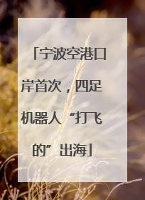 宁波空港口岸首次，四足机器人“打飞的”出海