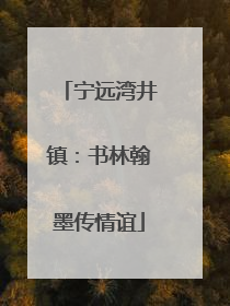 宁远湾井镇：书林翰墨传情谊