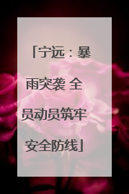 宁远：暴雨突袭 全员动员筑牢安全防线