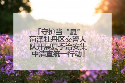 守护当“夏” 菏泽牡丹区交警大队开展夏季治安集中清查统一行动