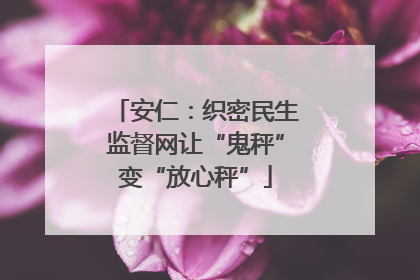 安仁：织密民生监督网让“鬼秤”变“放心秤”