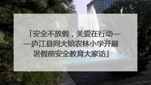 安全不放假，关爱在行动——庐江县同大镇农林小学开展暑假前安全教育大家访