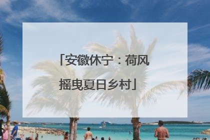 安徽休宁：荷风摇曳夏日乡村