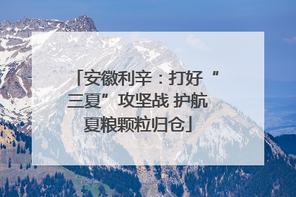 安徽利辛：打好“三夏”攻坚战 护航夏粮颗粒归仓