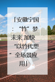 安徽宁国：“竹”梦未来 加快“以竹代塑”全场景应用