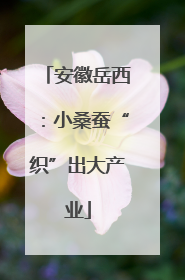 安徽岳西：小桑蚕“织”出大产业
