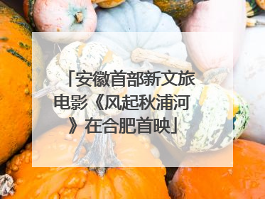 安徽首部新文旅电影《风起秋浦河》在合肥首映