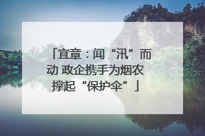 宜章：闻“汛”而动 政企携手为烟农撑起“保护伞”