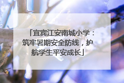 宜宾江安南城小学：筑牢暑期安全防线，护航学生平安成长