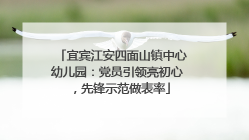 宜宾江安四面山镇中心幼儿园：党员引领亮初心，先锋示范做表率