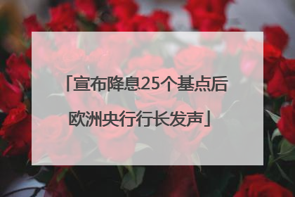 宣布降息25个基点后 欧洲央行行长发声