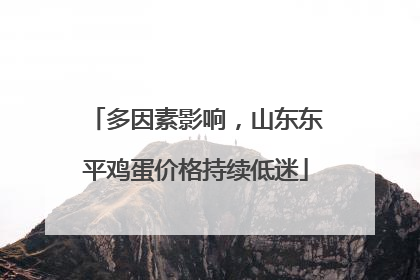 多因素影响，山东东平鸡蛋价格持续低迷