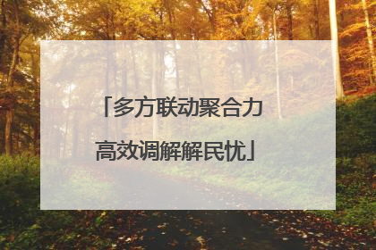 多方联动聚合力 高效调解解民忧