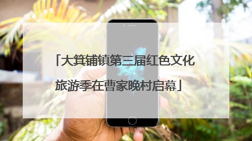 大箕铺镇第三届红色文化旅游季在曹家晚村启幕
