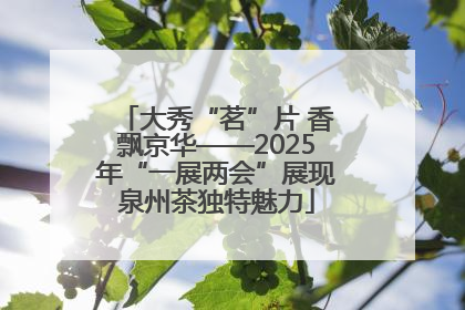 大秀“茗”片 香飘京华——2025年“一展两会”展现泉州茶独特魅力