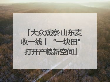大众观察·山东麦收一线丨“一块田”打开产粮新空间