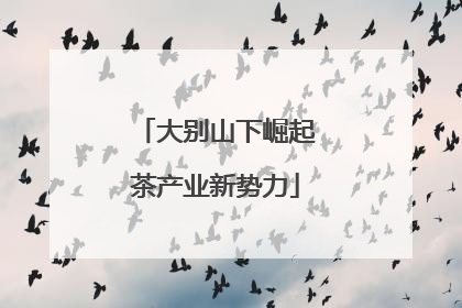 大别山下崛起茶产业新势力