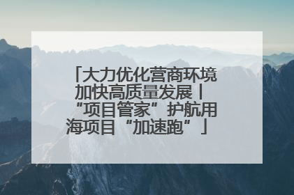 大力优化营商环境 加快高质量发展丨“项目管家”护航用海项目“加速跑”