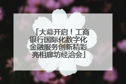 大幕开启！工商银行国际化数字化金融服务创新精彩亮相廊坊经洽会