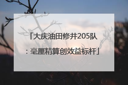 大庆油田修井205队：毫厘精算创效益标杆