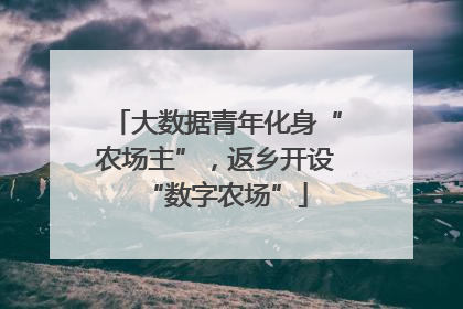 大数据青年化身“农场主”，返乡开设“数字农场”
