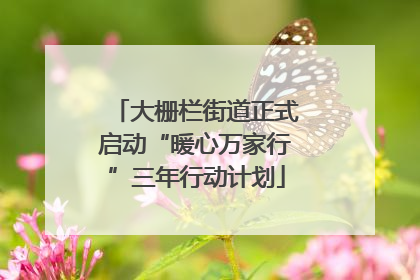 大栅栏街道正式启动“暖心万家行”三年行动计划