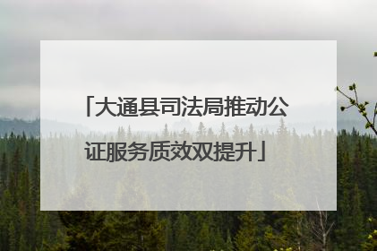 大通县司法局推动公证服务质效双提升