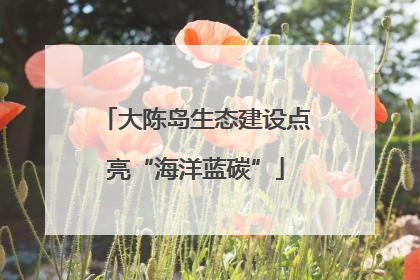 大陈岛生态建设点亮“海洋蓝碳”
