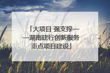 大项目 强支撑——湖南建行创新服务重点项目建设