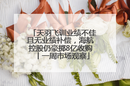 天羽飞训业绩不佳且无业绩补偿，海航控股仍豪掷8亿收购丨一周市场观察