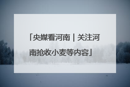央媒看河南｜关注河南抢收小麦等内容