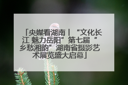 央媒看湖南丨“文化长江 魅力岳阳”第七届“乡愁湘韵”湖南省摄影艺术展览盛大启幕