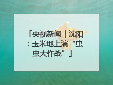 央视新闻｜沈阳：玉米地上演“虫虫大作战”