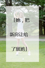 她，把新房让给了斑鸠