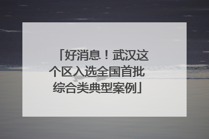 好消息！武汉这个区入选全国首批综合类典型案例