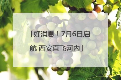 好消息！7月6日启航 西安直飞河内
