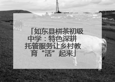 如东县栟茶初级中学：特色深耕 托管服务让乡村教育“活”起来