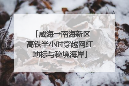 威海→南海新区 高铁半小时穿越网红地标与秘境海岸