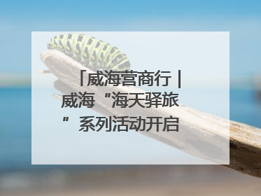 威海营商行｜威海“海天驿旅”系列活动开启海洋文旅新篇